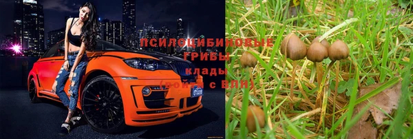 прущий лед Кукмор