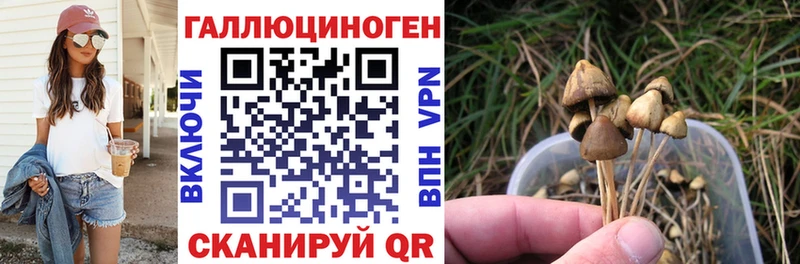 как найти закладки  Мензелинск  блэк спрут tor  Галлюциногенные грибы Psilocybine cubensis 