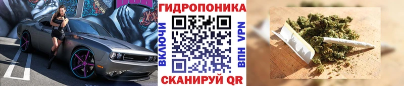 где купить наркотик  Мензелинск  Бошки марихуана индика 